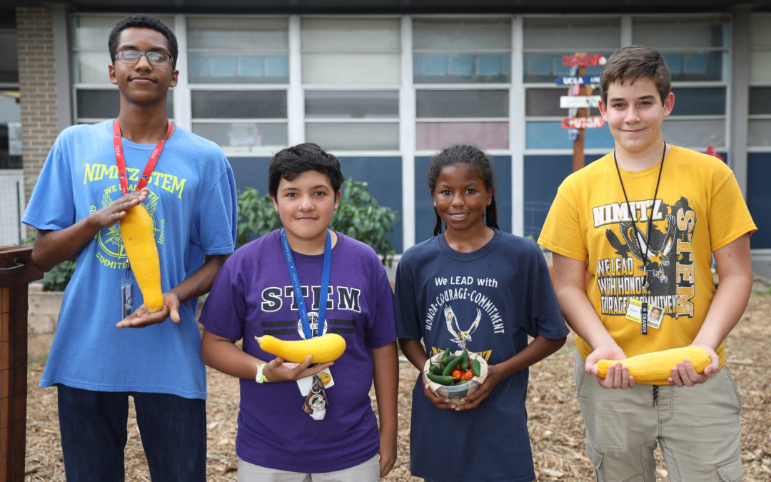 STEM Academy at Nimitz creates outdoor classroom and garden thanks to NEEF grant