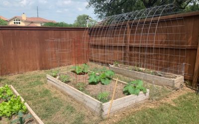 STEM Academy Student grows sustainable garden