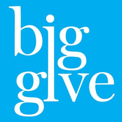 The_Big_Give_SA