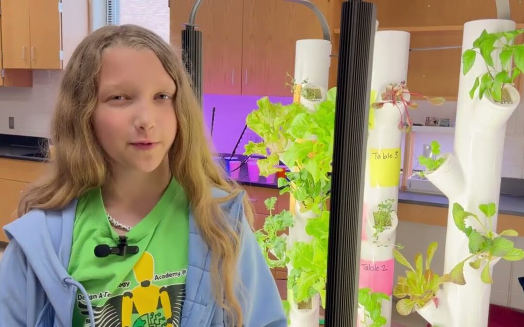 Soaring Hydroponics Grant: Cultivating Knowledge and Sending Learning Soaring