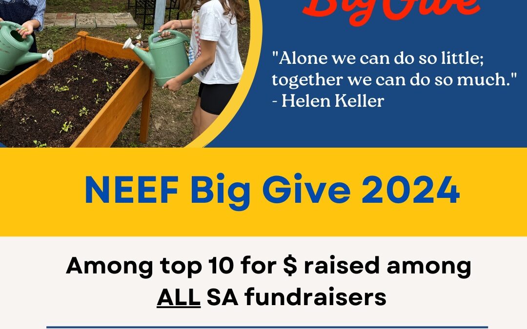 Together, We Gave Big for the Big Give!