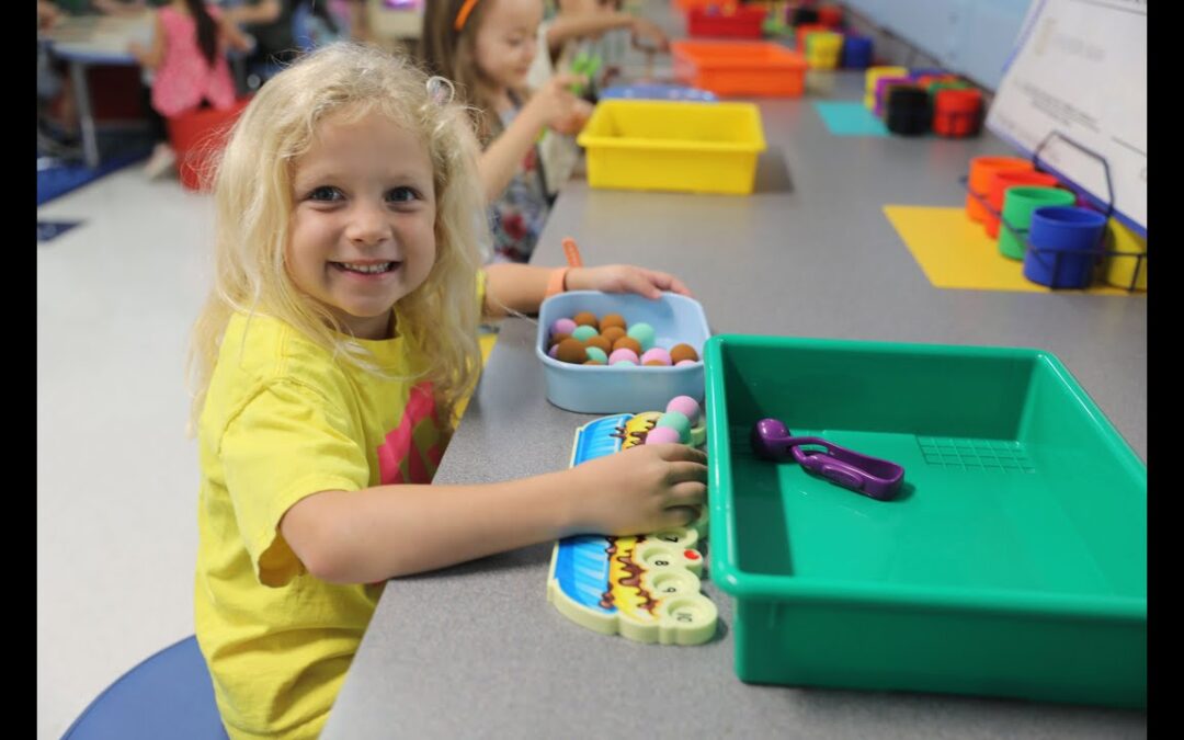 Inspiring Early Minds: Redland Oaks’ Transformative Library Initiative