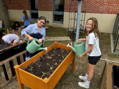 From Peace Garden to Sustainable Oasis: The Evolution of Wilderness Oak’s Garden